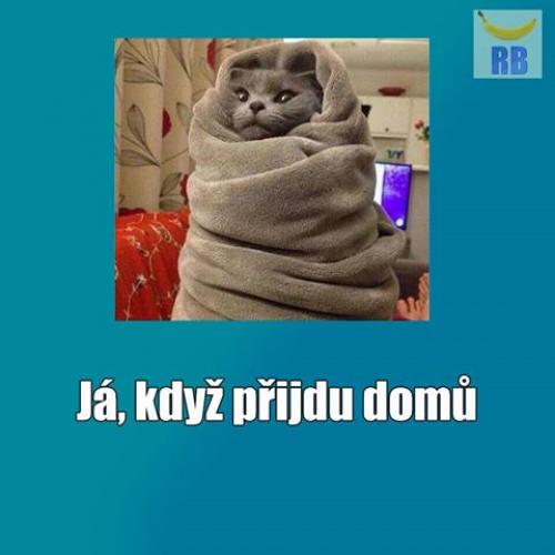  Když přijdu domů 