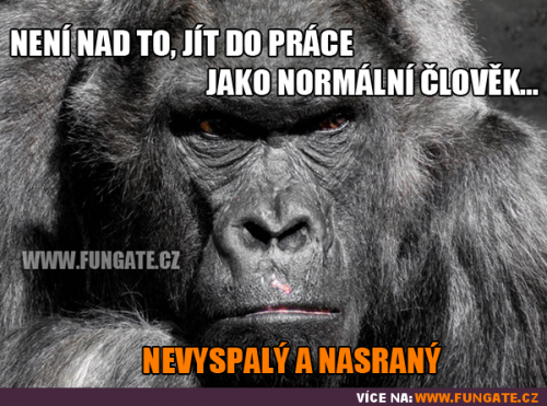  Asi tak nějak 