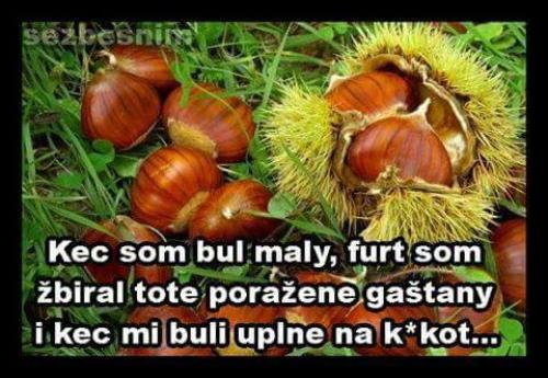 Kaštánky