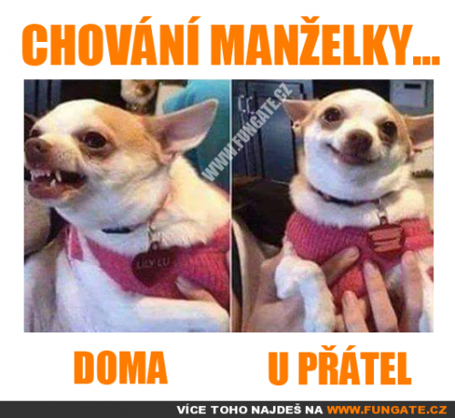  Chování manželky 