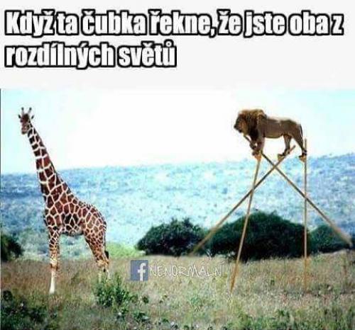  Rozdílný svět 