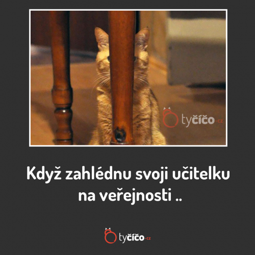  Učitelka 