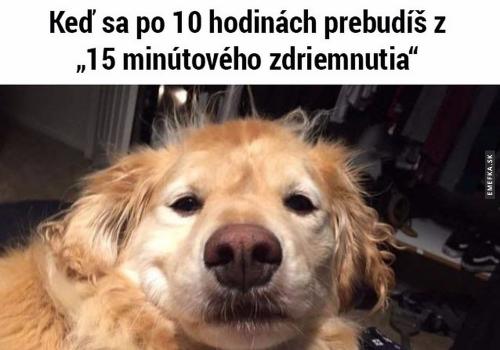  Probuzení 