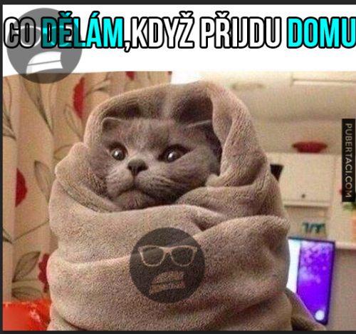  Když přijdu domů 