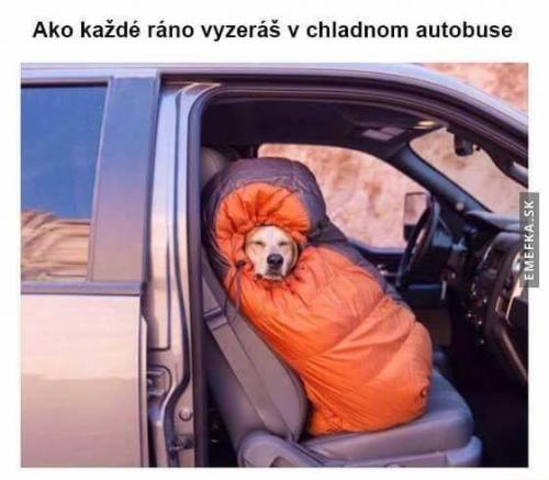 V autobuse