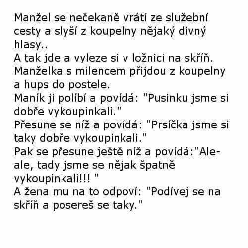  Manžel 