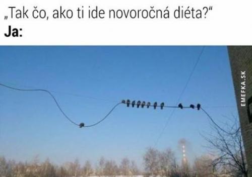  Novroční dieta 