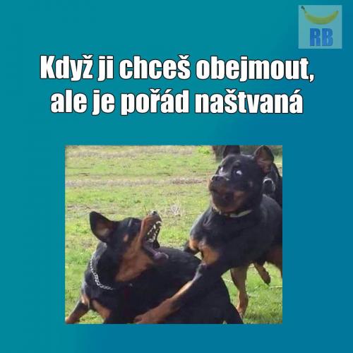 Obejmuté