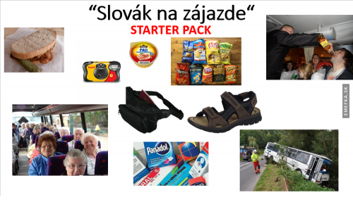 Zájezd