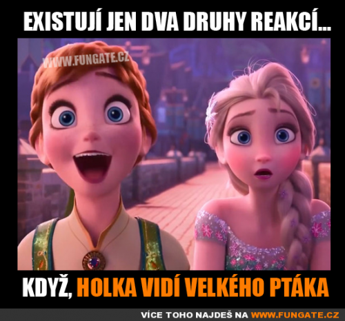  Dva druhy reakcí 