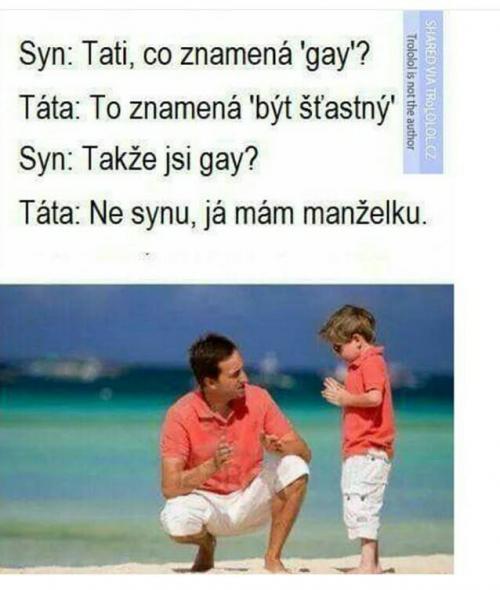  Gay 