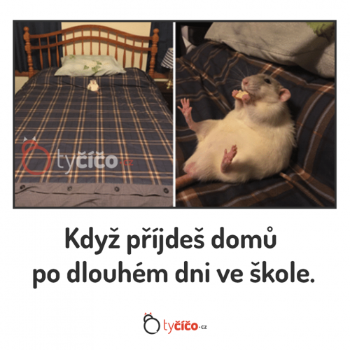  Zrovna dnes! 