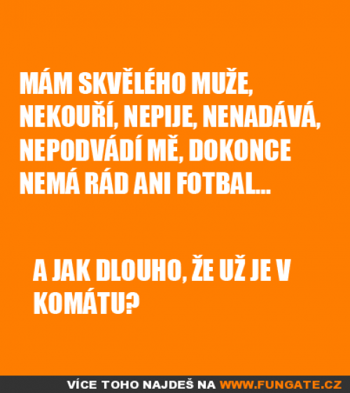  Mám skvělého muže, 