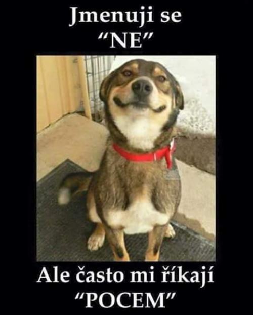 NE