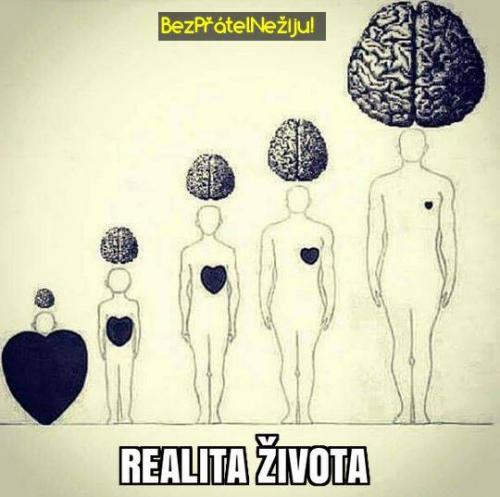  Realita 