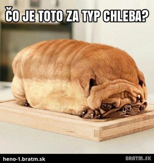  Typ chleba 