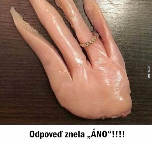  Ano 