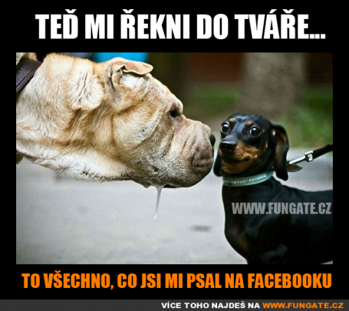  Ten pocit, když potkáte někoho na ulici, koho jste pomlouvali na fb 