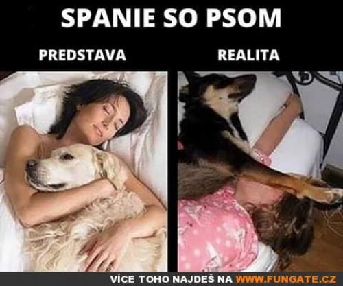  Spaní se psem 