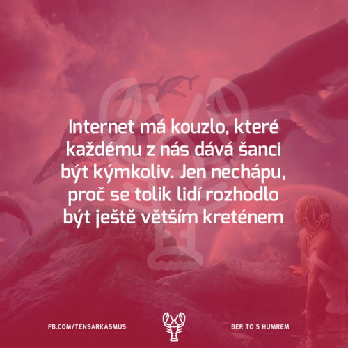  Internet 