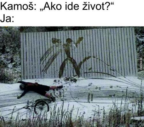  Jak jde život? 