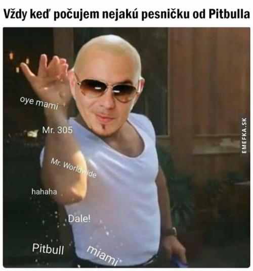 Pitbull 