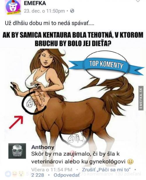 SAmica