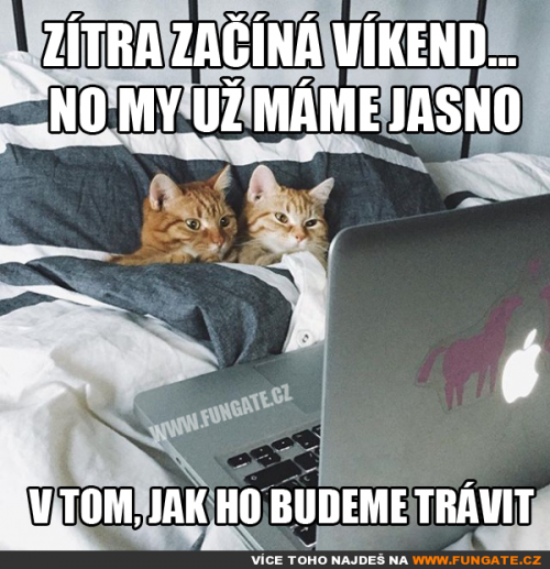  Zítra začíná víkend 