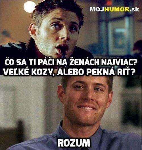  Rozum 