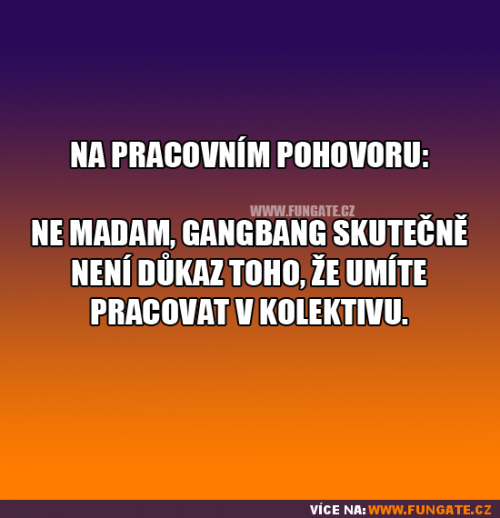 Na pracovním pohovoru