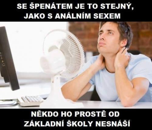 Spenát