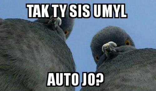 Zmetci