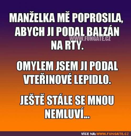  Manželka 