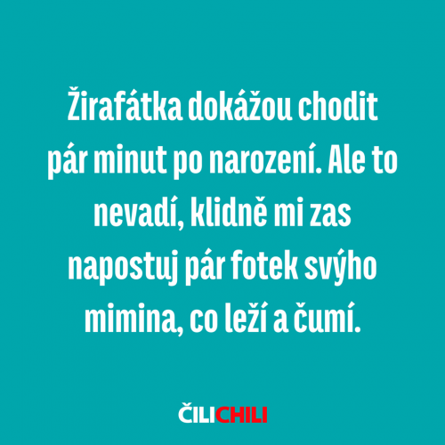 Žirafáka
