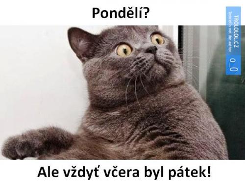  Pondělí 