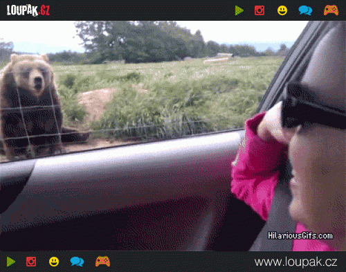  Medvídek se umí rozloučit 