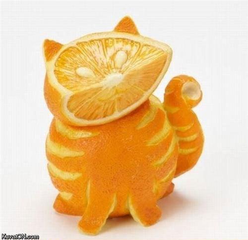 Pomerančová kočka