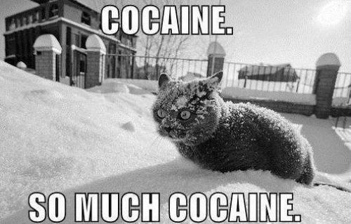  Cocaine power! 