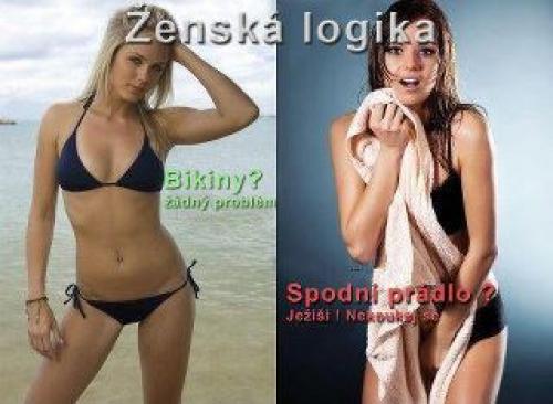  Ženská logika 