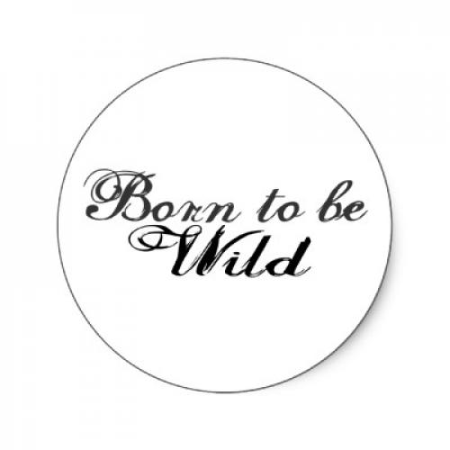 Born To Be Wild 