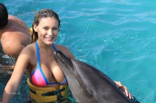  Krásný delfínek 