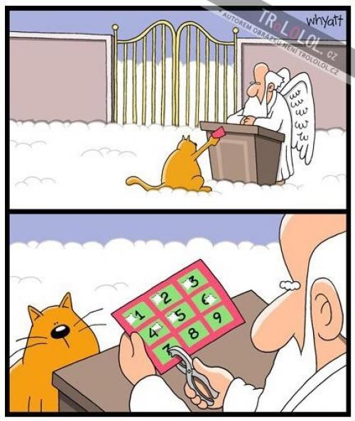 Kočka v nebi