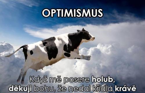 Optimizmus