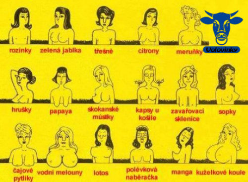  Různé typy ženských prsou 