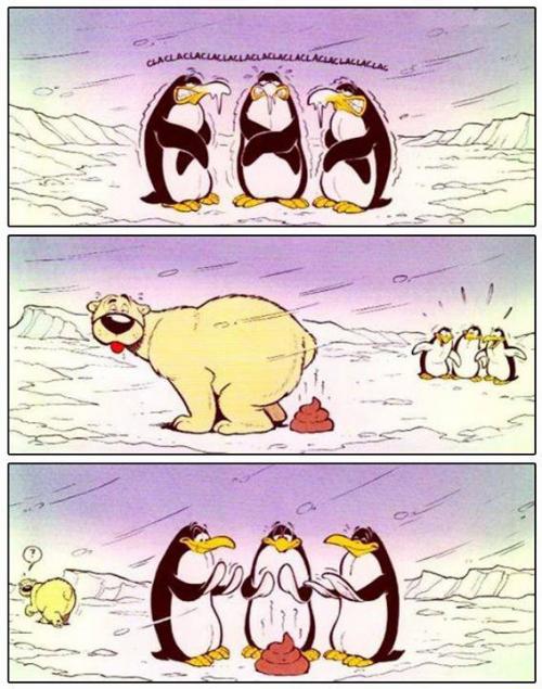  Jak vnímají tučňáci ledního medvěda? 