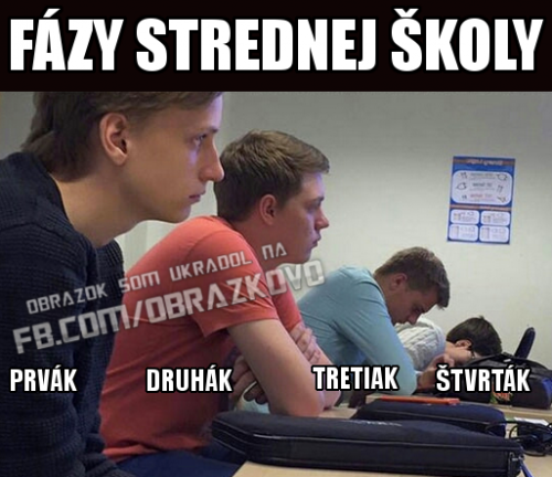  Fázy střední školy 