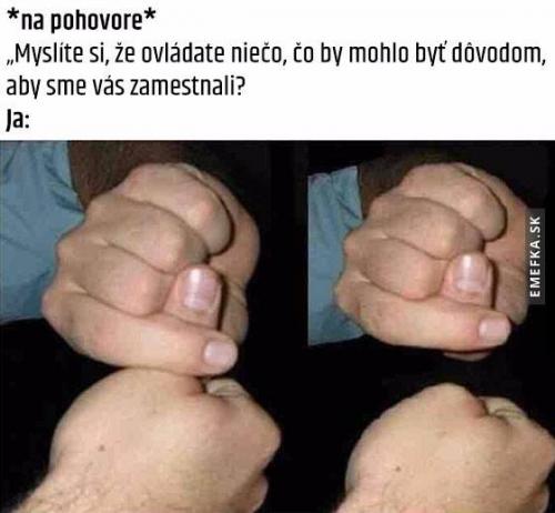 Pohovor