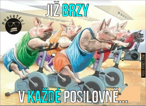  Před létem musíme dobře vypadat 