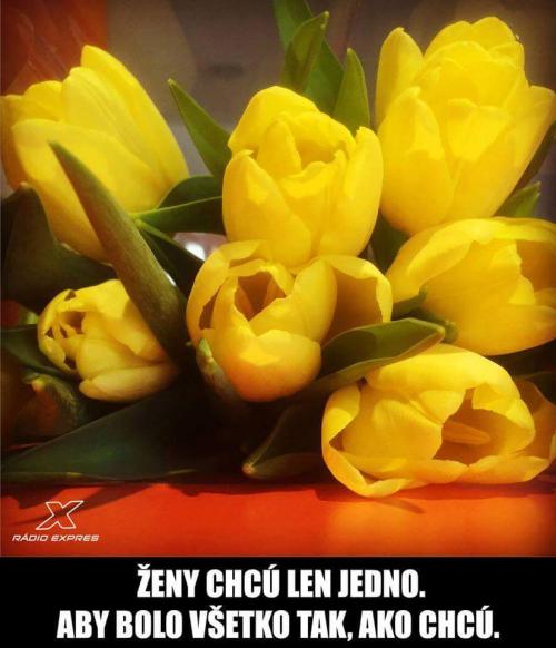  Ženy chtějí jen jednu věc 