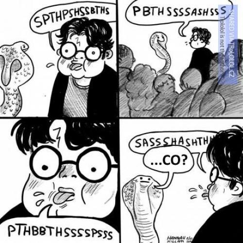  Harry Potter 